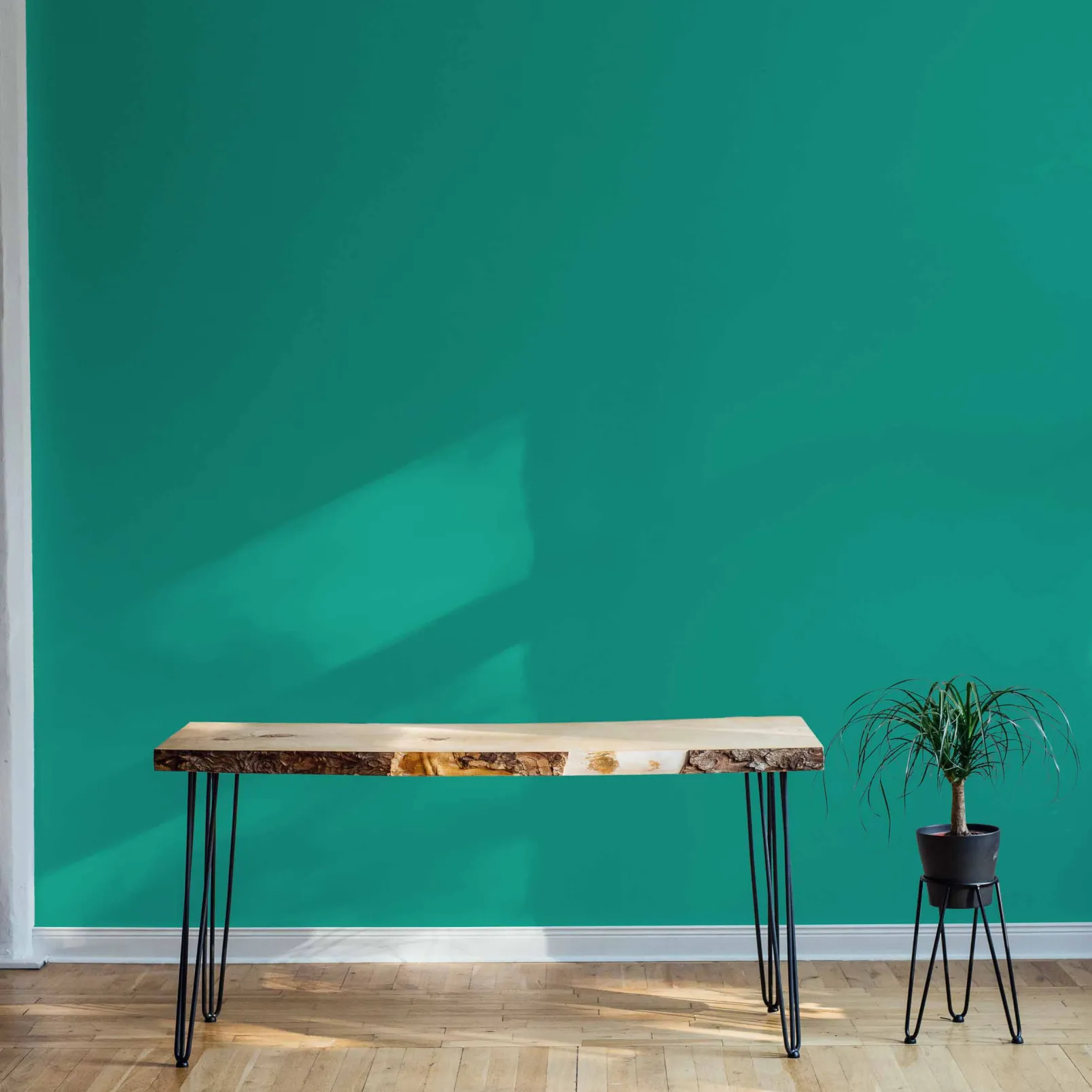 Menta - NEW - Coordonné