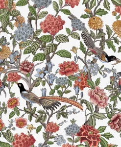 Mercedes Cisne - Coordonné