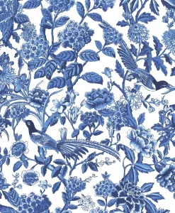 Mercedes Índigo - Coordonné