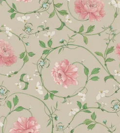 Mirabelle Stella - Coordonné