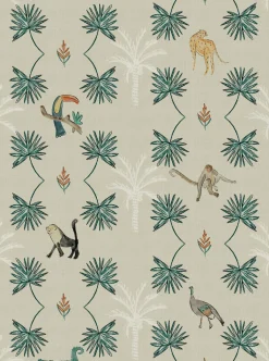 Monteverde Safari - Coordonné