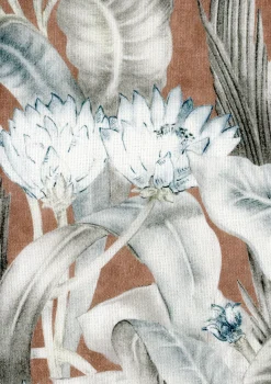 Nenuphars Adobe - Coordonné