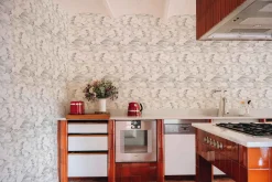 Ngai Blanco - Coordonné