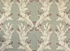 Nouveau Alga - Coordonné