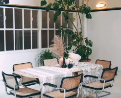 Nouveau Alga - Coordonné