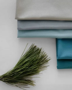 Pacific 701 - Coordonné