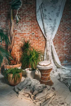 Palazzo Ciruela - Coordonné