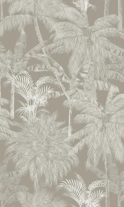 Palms Piedra - Coordonné