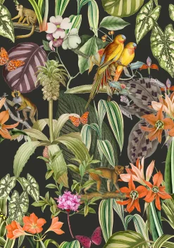 Parrots Antracita - Coordonné