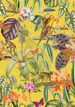 Parrots Limón - Coordonné