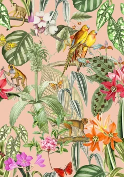 Parrots Melocotón - Coordonné