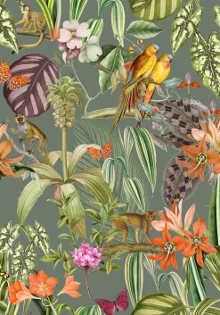 Parrots Musgo - Coordonné