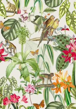 Parrots Perla - Coordonné