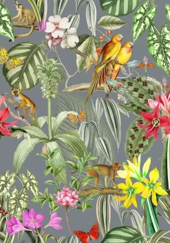 Parrots Tormenta - Coordonné