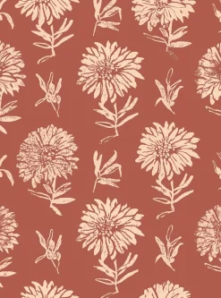 Parterre Azafrán - Coordonné