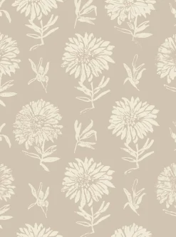 Parterre Cisne - Coordonné