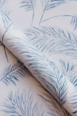 Plumero Barcelona - Coordonné