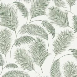 Plumero Parra - Coordonné