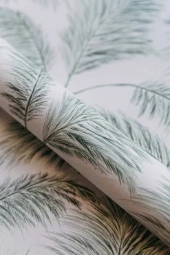 Plumero Parra - Coordonné