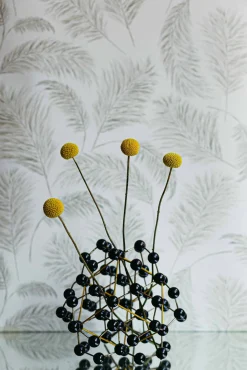 Plumero Parra - Coordonné