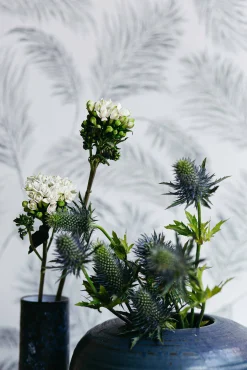 Plumero Plata - Coordonné