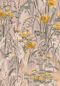 Pradera Rosa - Coordonné