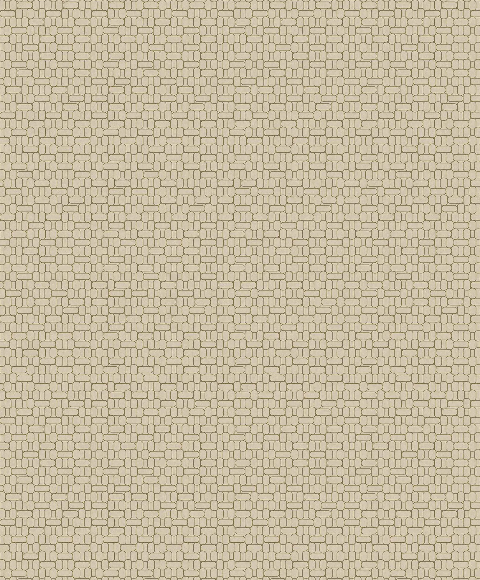 Rational Brass - Coordonné