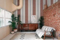 Raya Ciruela - Coordonné