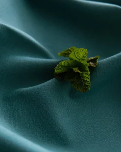 Reef 782 - Coordonné