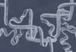 Ribbon Lapislazuli - Coordonné