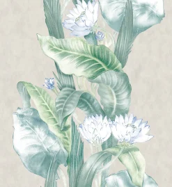 Riverine Menta - Coordonné