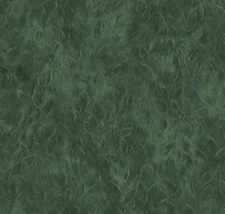 Rob Leaves Silvester - Coordonné