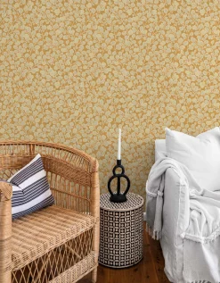 Robledal Curry - Coordonné