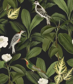 Rocio Azabache - Coordonné