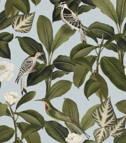 Rocio Cielo - Coordonné