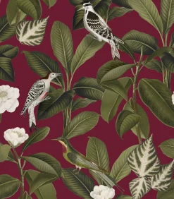 Rocio Grana - Coordonné