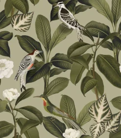 Rocio Pistacho - Coordonné