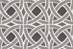 Roots Carbón - Coordonné