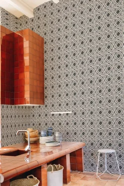 Roots Carbón - Coordonné