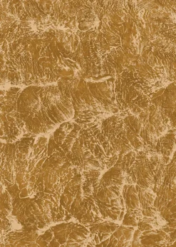 Sepia Curry - Coordonné