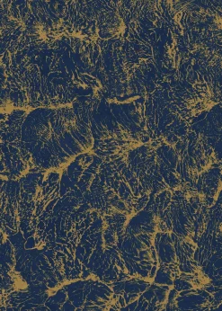 Sepia Lapislazuli - Coordonné