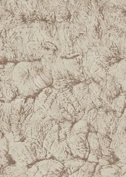 Sepia Sand - Coordonné