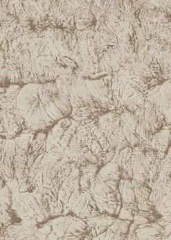 Sepia Sand - Coordonné