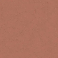 Serpent Corail - Coordonné