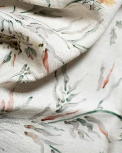 Silvestre Curry - Coordonné