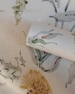 Silvestre Curry - Coordonné