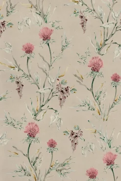 Silvestre Papiro - Coordonné