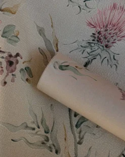 Silvestre Papiro - Coordonné