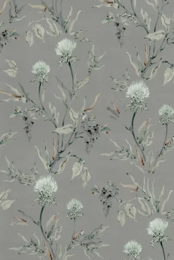 Silvestre Plata - Coordonné