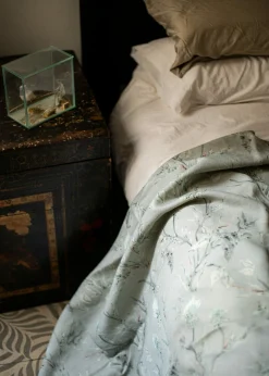 Silvestre Plata - Coordonné